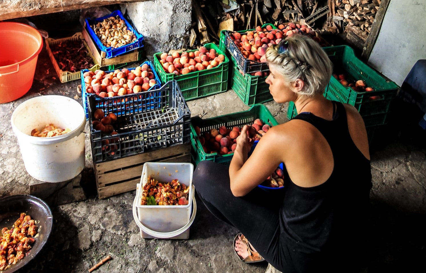 Starters Guide To Nutrition & Mental Health